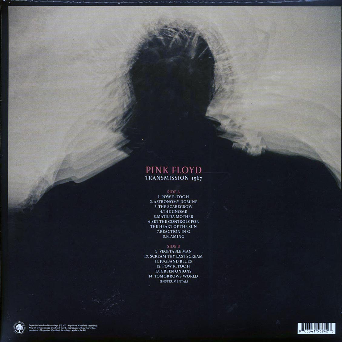 Pink Floyd - Transmission 1967
