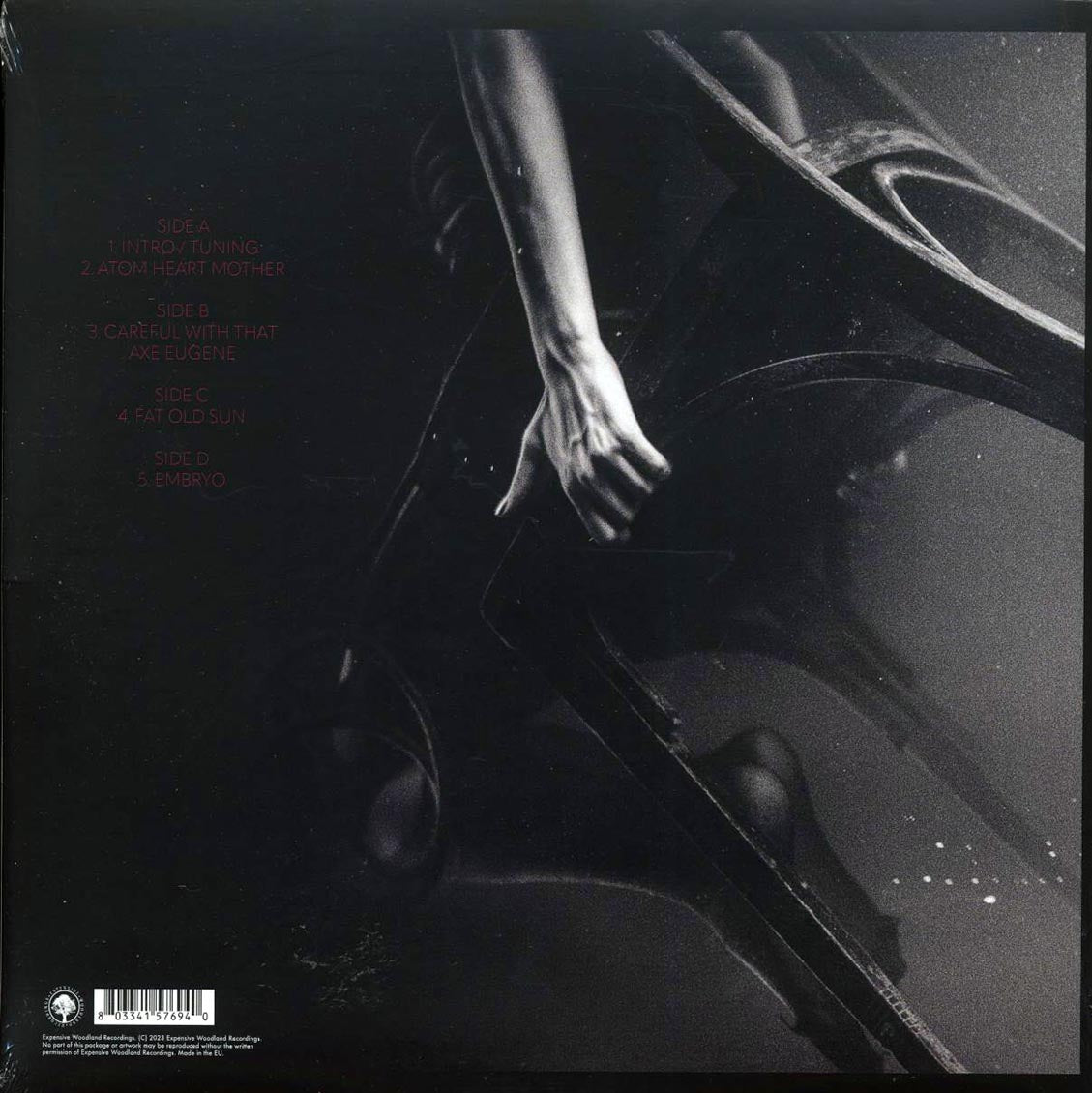 Pink Floyd - Italy Live 1971 Volume 1