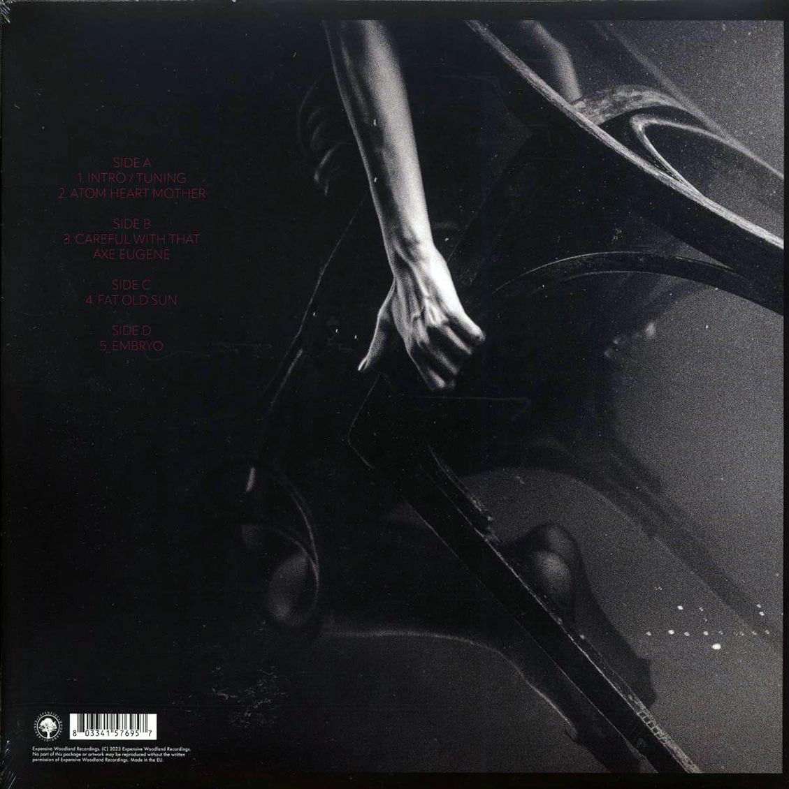 Pink Floyd - Italy Live 1971 Volume 1