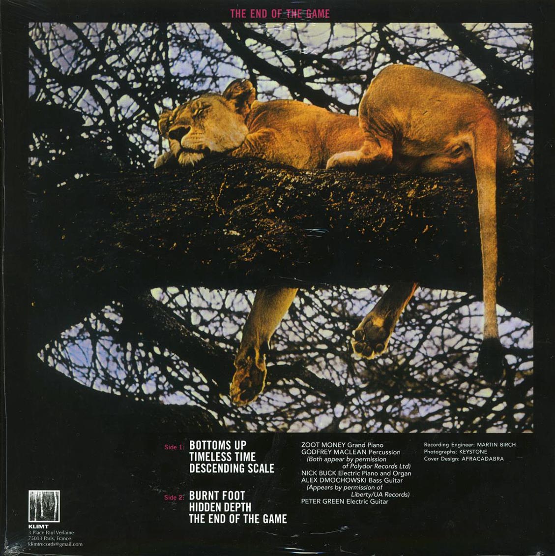 Peter Green - The End Of The Game