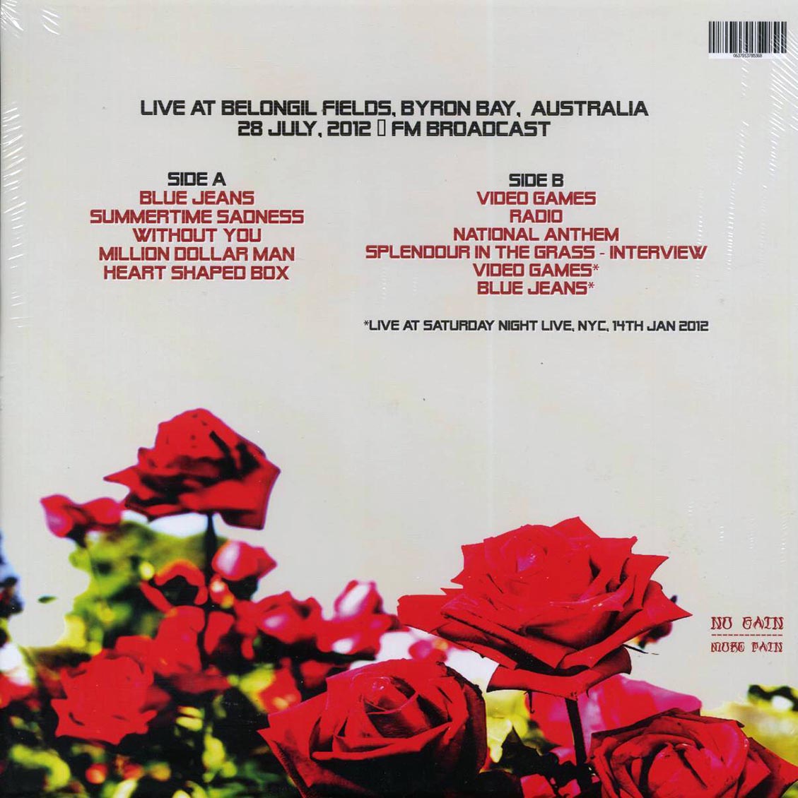 Lana Del Rey - Feeling Electric! Live At Belognil Fields, Byron Bay, Australia, 28 July 2012
