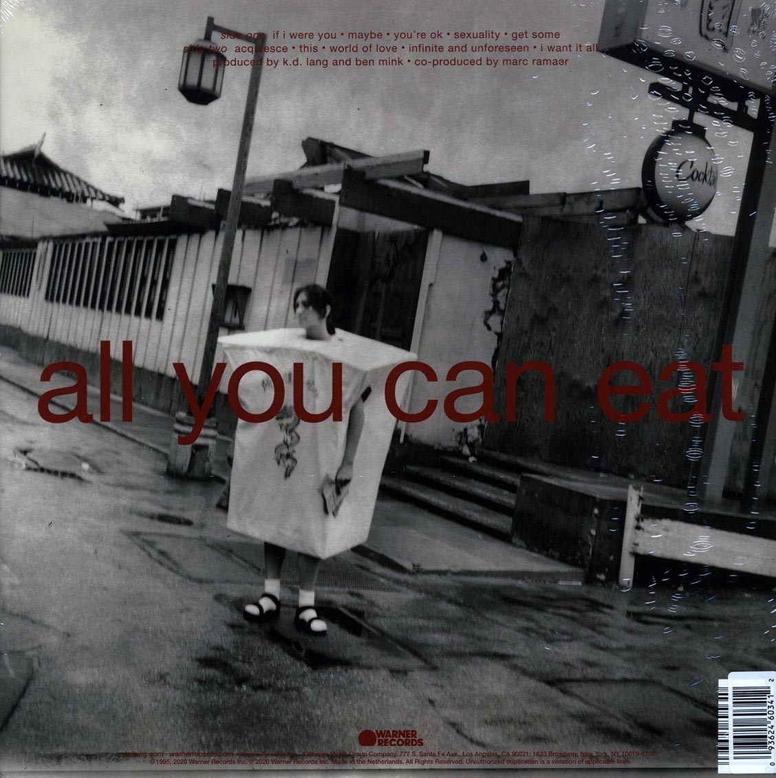 KD Lang - All You Can Eat