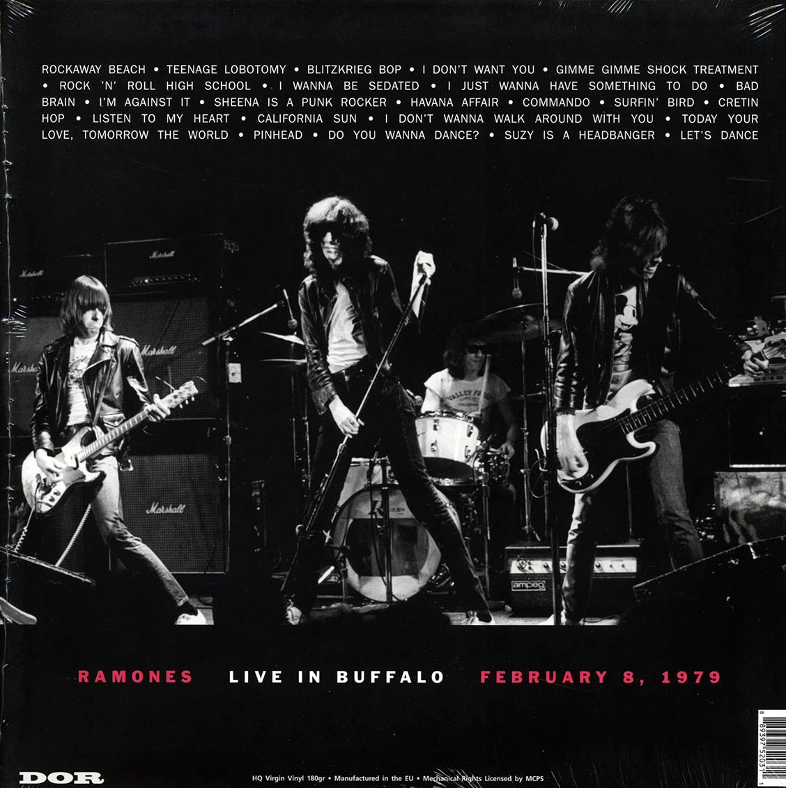The Ramones - Live In Buffalo February 8, 1979