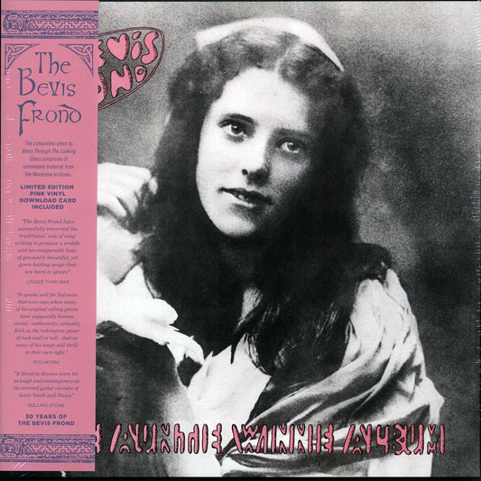 The Bevis Frond - The Auntie Winnie Album