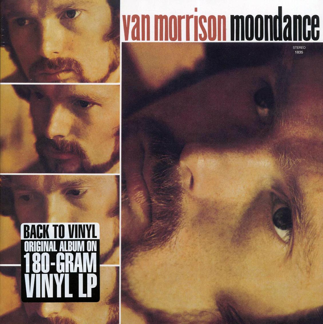 Van Morrison - Moondance