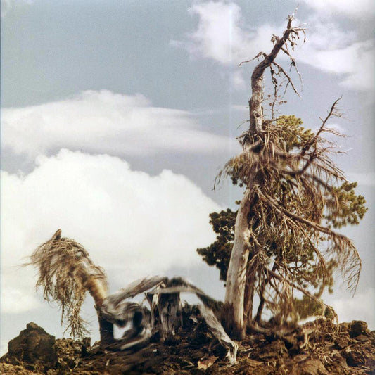 People Of The North - Steep Formations