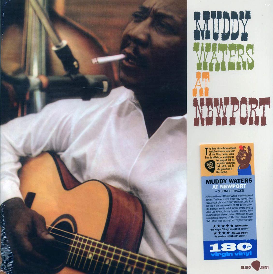 Muddy Waters - At Newport