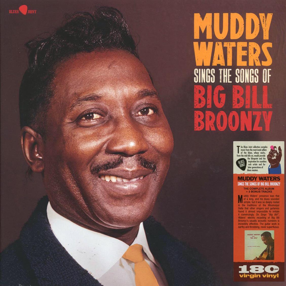 Muddy Waters - Sings The Songs Of Big Bill Broonzy