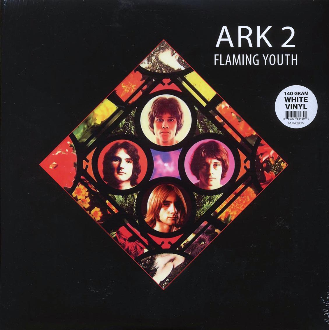 Flaming Youth - Ark 2