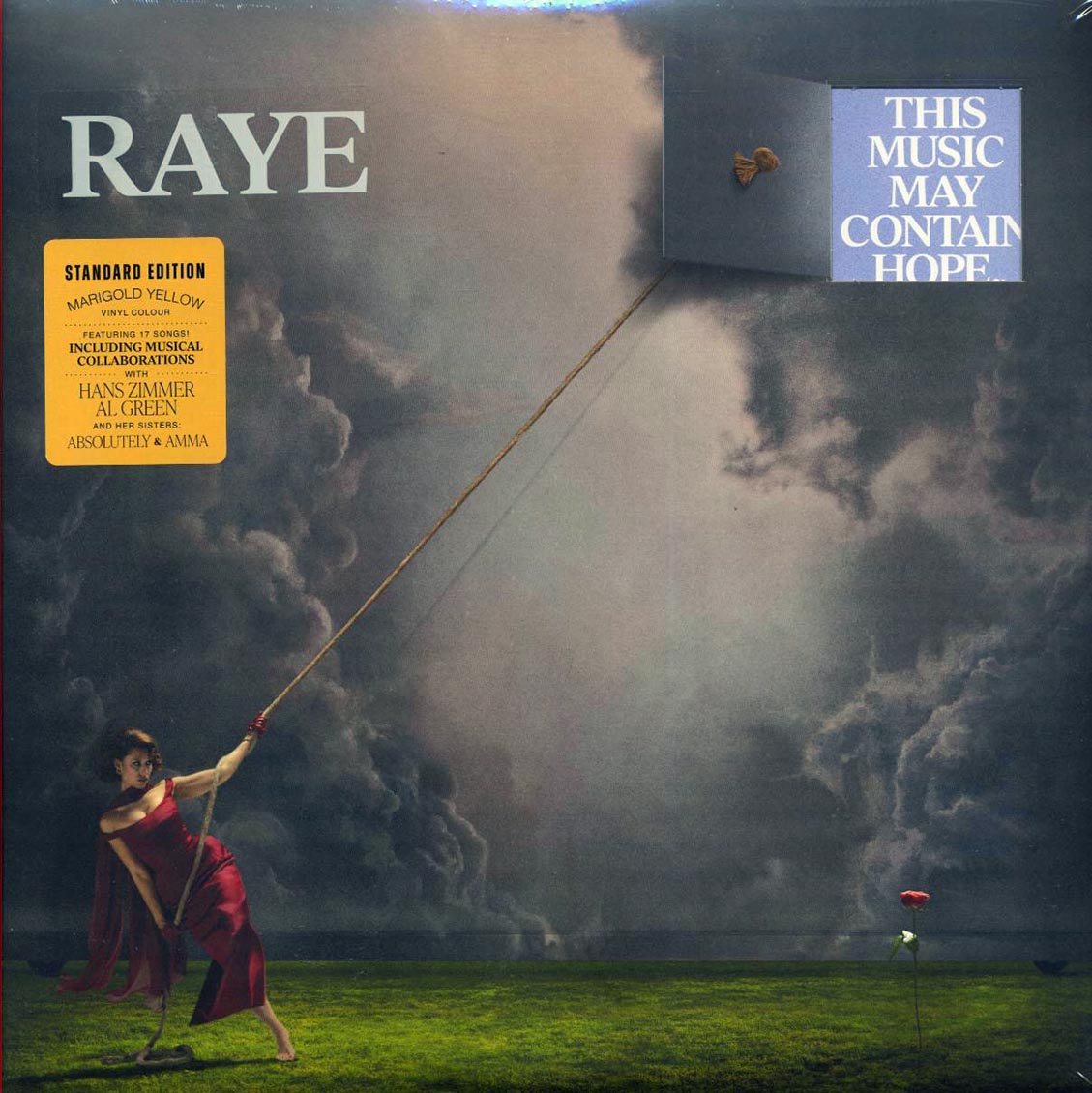 Raye - This Music May Contain Hope