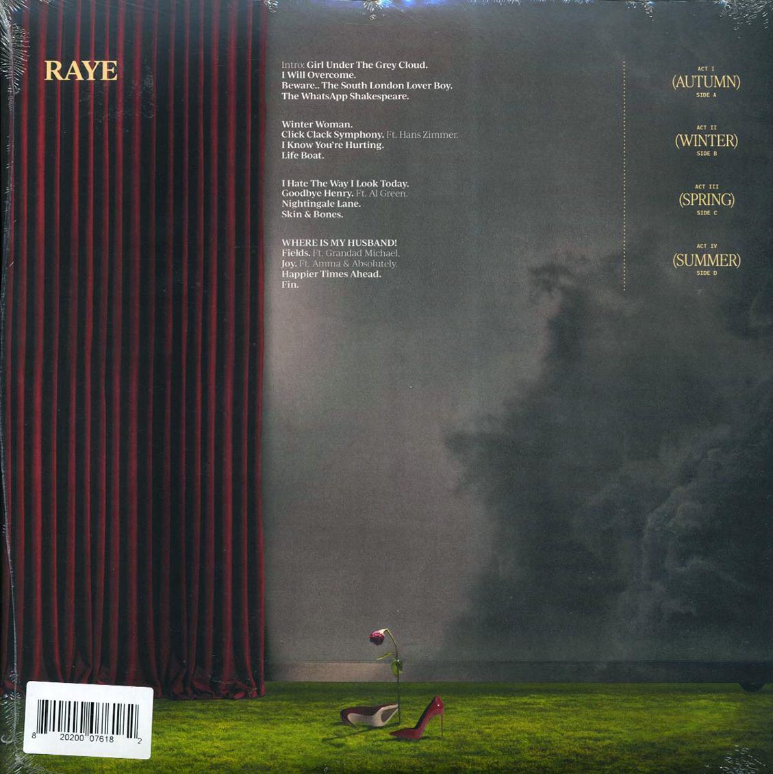 Raye - This Music May Contain Hope