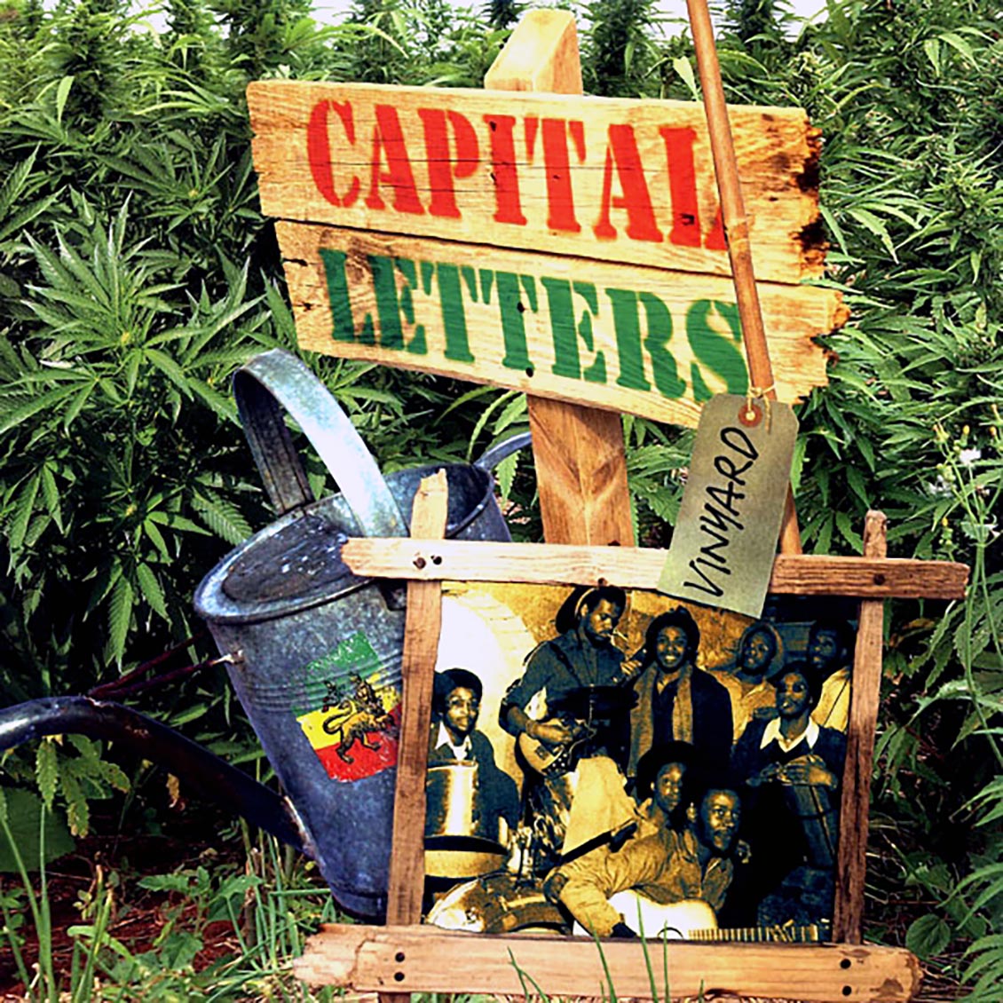 Capital Letters - Vineyard