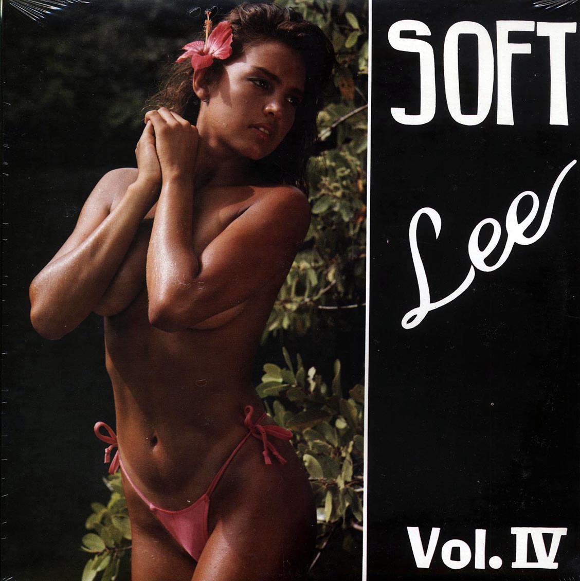 Byron Lee & The Dragonaires - Soft Lee Volume 4