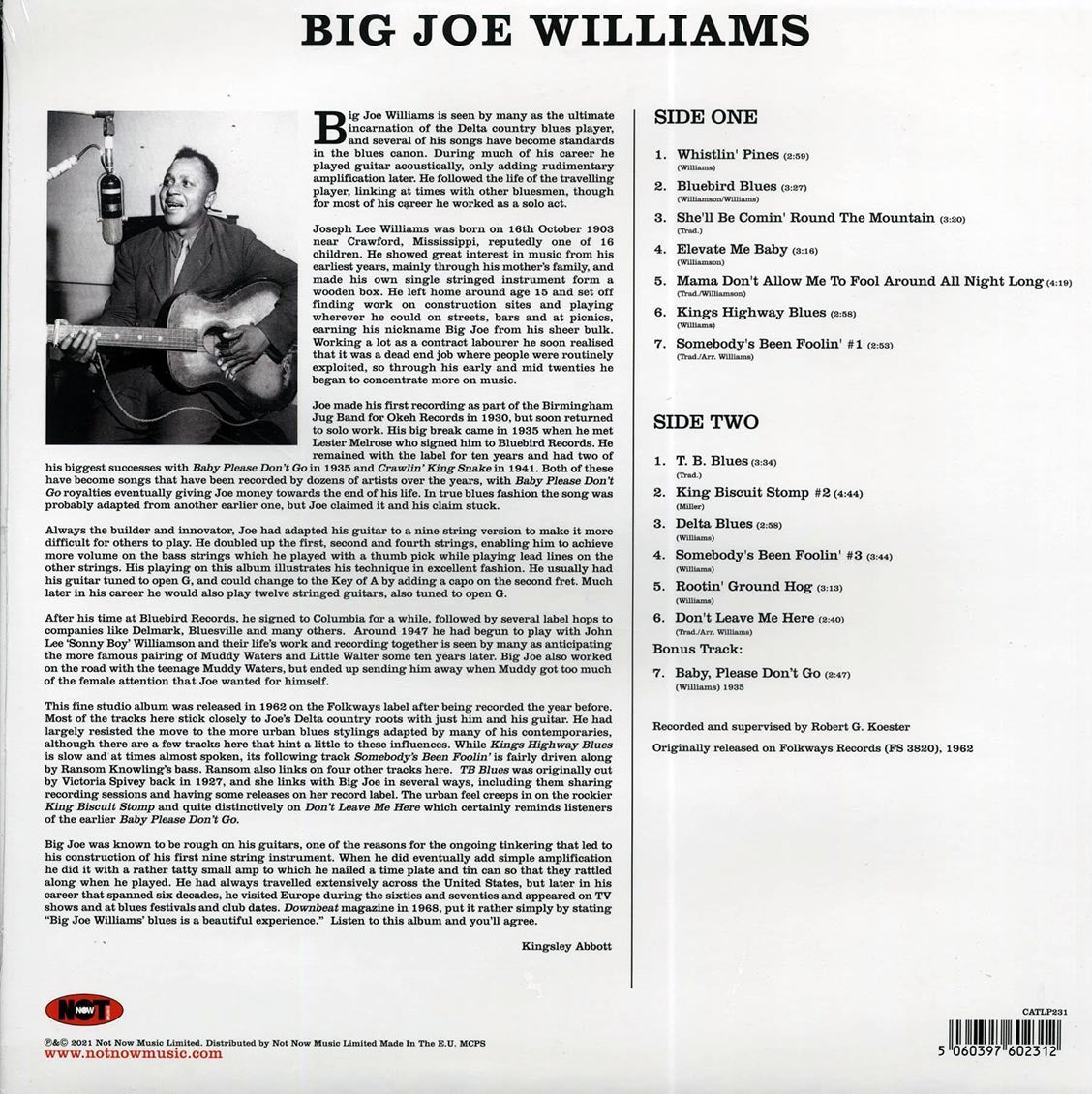 Big Joe Williams - Big Joe Williams And His Nine String Guitar